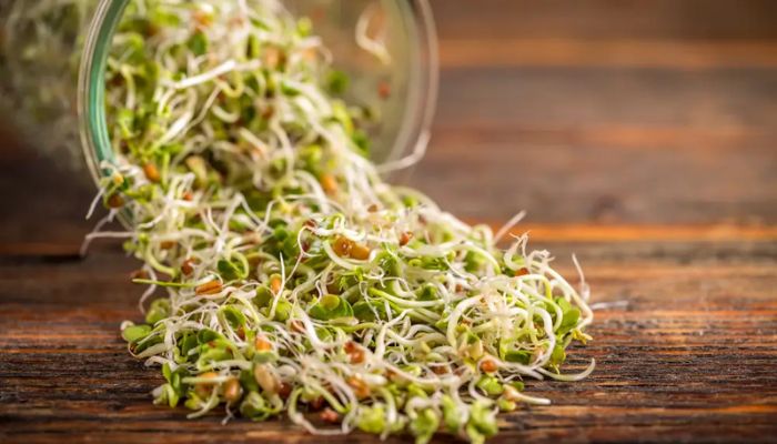 Raw sprouts